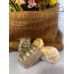 Sabonete de barra massageador com bucha vegetal